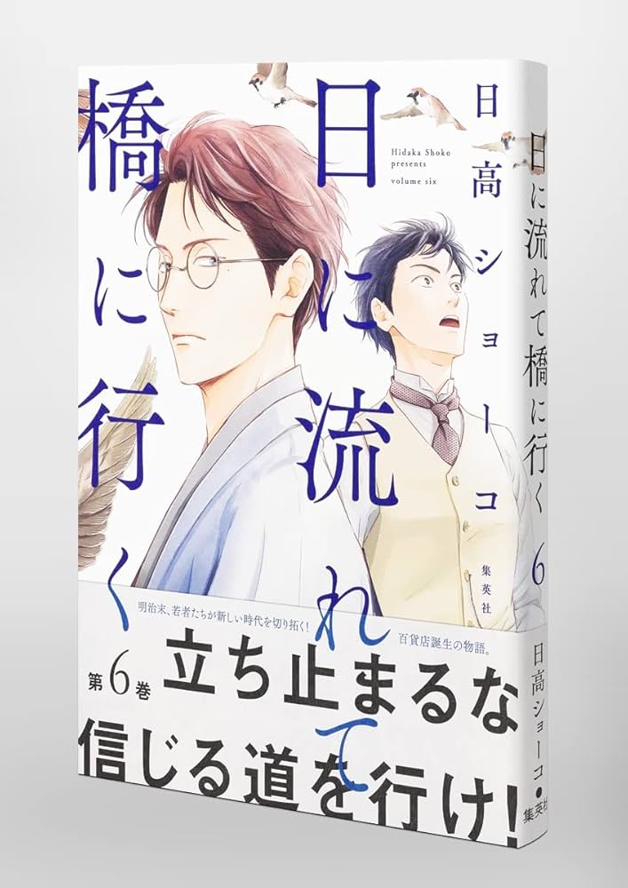 日に流れて橋に行く 6 (愛蔵版コミックス) | 日高 ショーコ |本